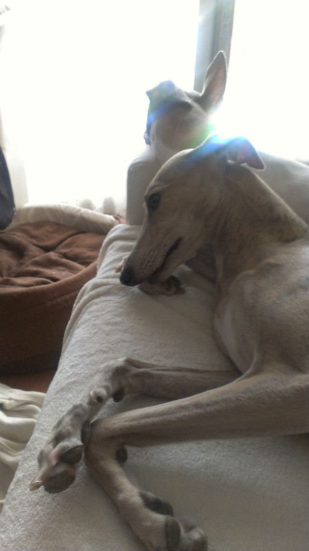 2013051007.jpg