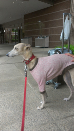 2013051101.jpg