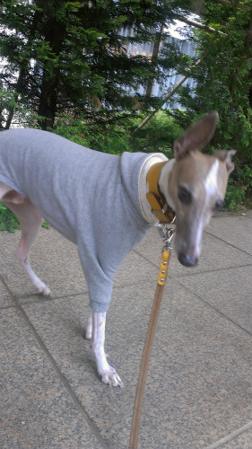 2013051102.jpg