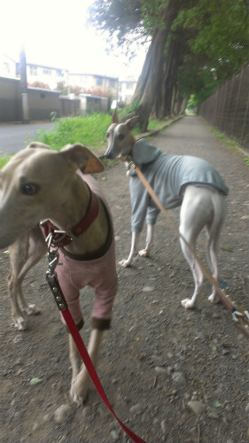 2013051103.jpg