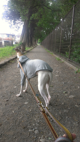 2013051104.jpg