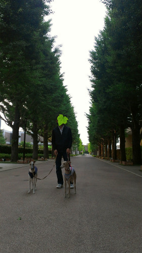 2013051901.jpg