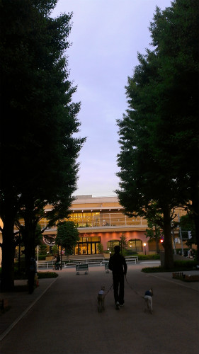 2013051902.jpg