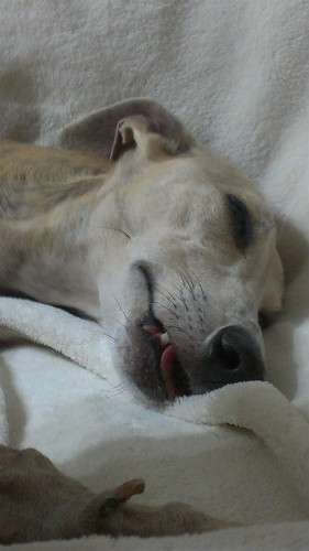 2013052801.jpg