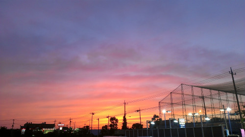 2013053102.jpg