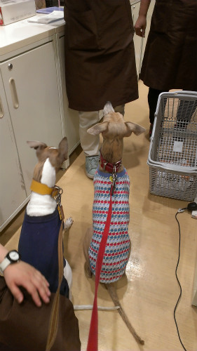 2013060201.jpg