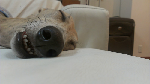 2013060202.jpg