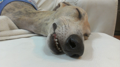 2013060203.jpg