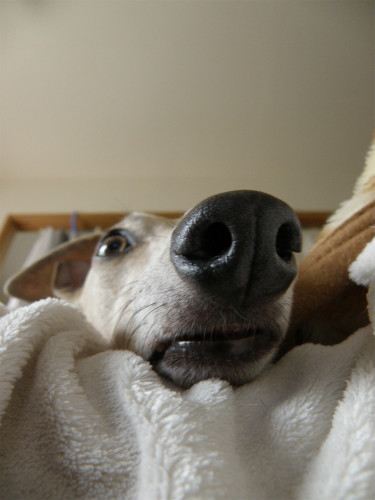 2013060206.jpg