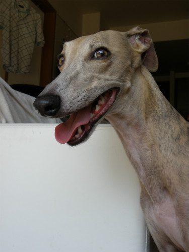 2013060207.jpg