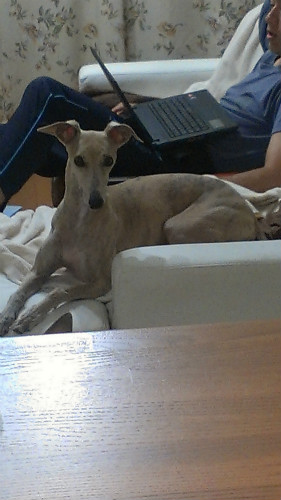 2013061101.jpg