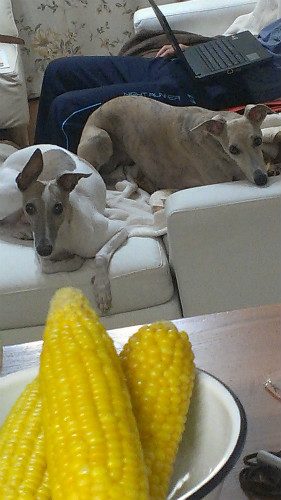 2013061102.jpg