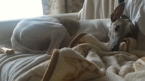 2013061601.jpg