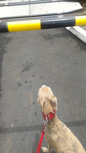 2013061602.jpg