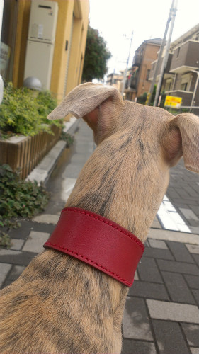 2013061603.jpg