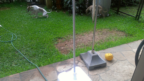 2013061604.jpg