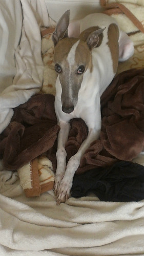 2013062101.jpg
