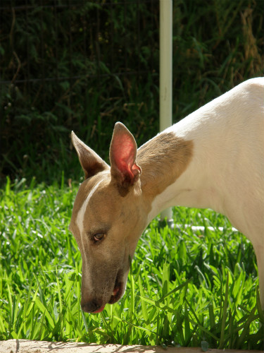 2013062102.jpg