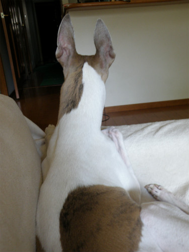 2013062104.jpg