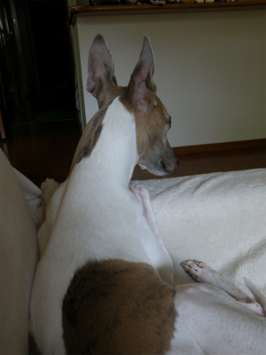 2013062105.jpg