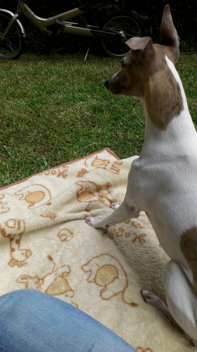 2013062107.jpg
