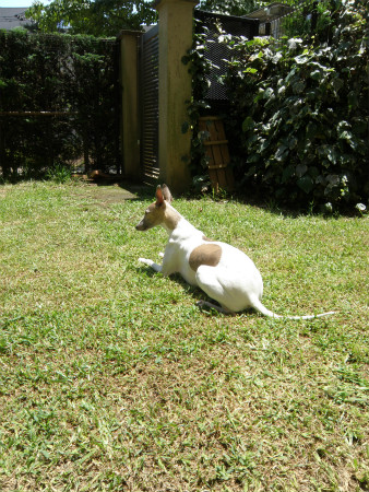 2013062302.jpg