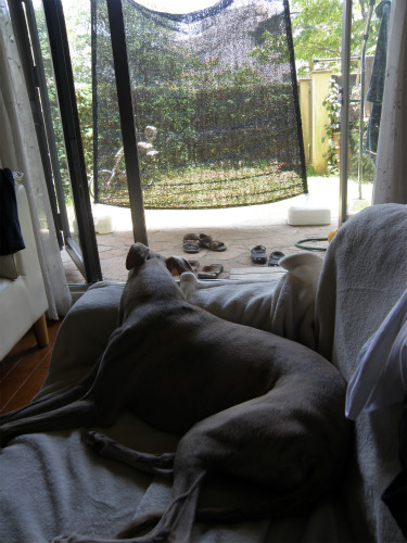 2013062303.jpg