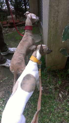 2013063001.jpg