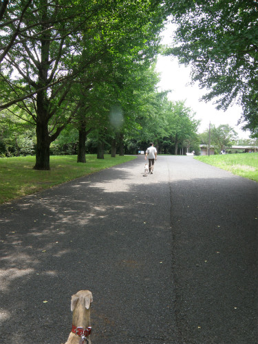 2013063003.jpg