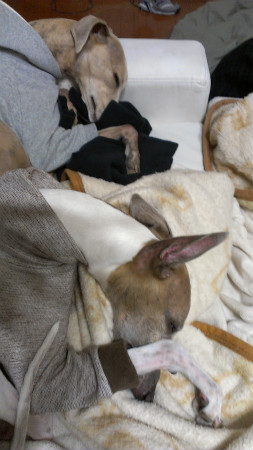 20131050514.jpg