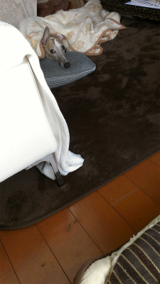 2014010501.jpg