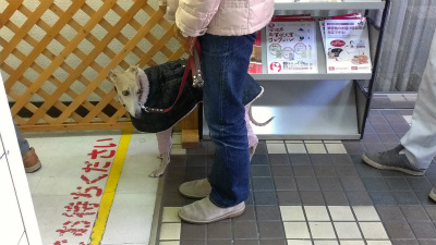 2014010502.jpg