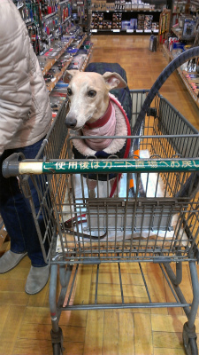 2014010503.jpg