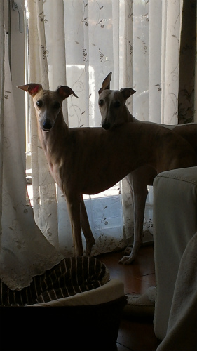 2014011301.jpg