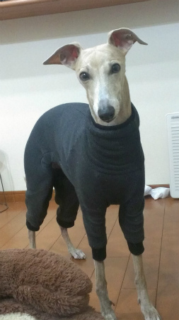 2014011501.jpg