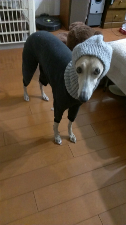 2014011502.jpg