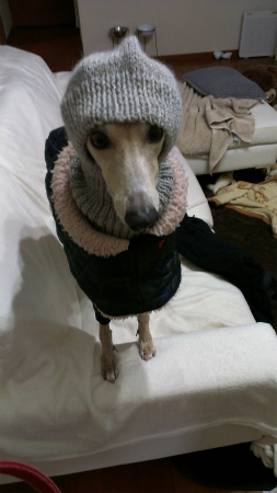 2014011503.jpg
