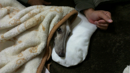 2014011504.jpg