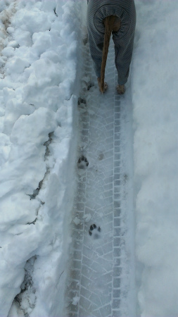 201402008.jpg
