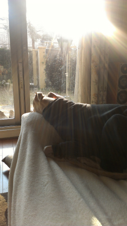 20140302.jpg
