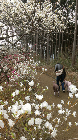20140308.jpg