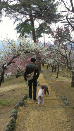 20140309.jpg