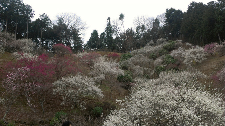 20140311.jpg