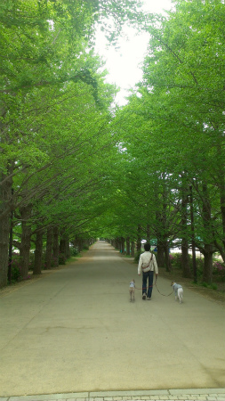 2014050601.jpg