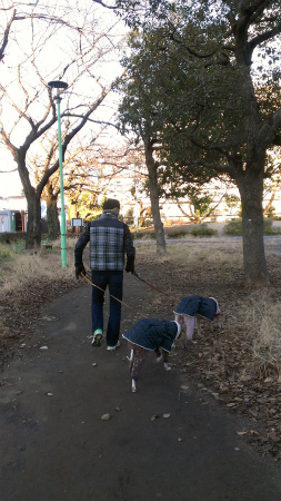 2015010302.jpg