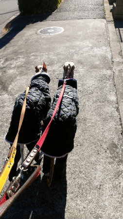 2015011701.jpg