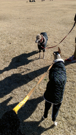 2015011803.jpg