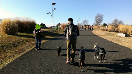 2015011804.jpg