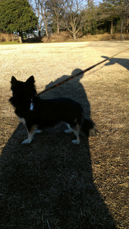 2015011805.jpg