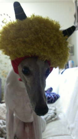 2015020303.jpg